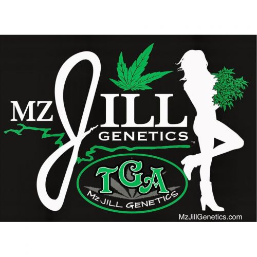 mzjill logo